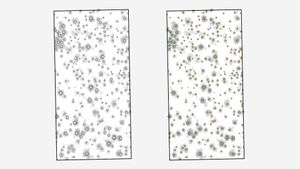 A survey showing the tree positions, colored by species
