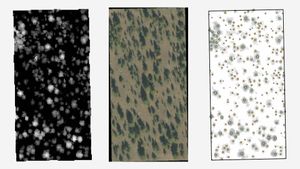 a survey of the property, LIDAR image, and satellite image
